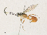  ( - CBG-A30947-G05)  @11 [ ] CreativeCommons - Attribution Share - Alike (2024) CBG Photography Group Centre for Biodiversity Genomics