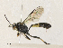  ( - CBG-A30948-H02)  @11 [ ] CreativeCommons - Attribution Share - Alike (2024) CBG Photography Group Centre for Biodiversity Genomics