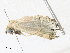  ( - CBG-A30994-A09)  @11 [ ] CreativeCommons - Attribution Share - Alike (2024) CBG Photography Group Centre for Biodiversity Genomics