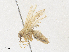  ( - CBG-A31757-B07)  @11 [ ] CreativeCommons - Attribution Share - Alike (2024) CBG Photography Group Centre for Biodiversity Genomics