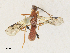  ( - CBG-A31757-D03)  @11 [ ] CreativeCommons - Attribution Share - Alike (2024) CBG Photography Group Centre for Biodiversity Genomics