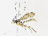  ( - CBG-A31757-F11)  @11 [ ] CreativeCommons - Attribution Share - Alike (2024) CBG Photography Group Centre for Biodiversity Genomics