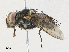  ( - CBG-A31757-G02)  @11 [ ] CreativeCommons - Attribution Share - Alike (2024) CBG Photography Group Centre for Biodiversity Genomics