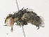 ( - CBG-A31757-G09)  @11 [ ] CreativeCommons - Attribution Share - Alike (2024) CBG Photography Group Centre for Biodiversity Genomics