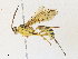  ( - CBG-A31758-A04)  @11 [ ] CreativeCommons - Attribution Share - Alike (2024) CBG Photography Group Centre for Biodiversity Genomics