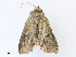  ( - CBG-A31758-B12)  @11 [ ] CreativeCommons - Attribution Share - Alike (2024) CBG Photography Group Centre for Biodiversity Genomics