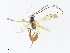  ( - CBG-A31758-E11)  @11 [ ] CreativeCommons - Attribution Share - Alike (2024) CBG Photography Group Centre for Biodiversity Genomics