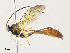  ( - CBG-A31758-G04)  @11 [ ] CreativeCommons - Attribution Share - Alike (2024) CBG Photography Group Centre for Biodiversity Genomics