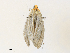  ( - CBG-A31759-B06)  @11 [ ] CreativeCommons - Attribution Share - Alike (2024) CBG Photography Group Centre for Biodiversity Genomics