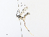  ( - CBG-A31759-G12)  @11 [ ] CreativeCommons - Attribution Share - Alike (2024) CBG Photography Group Centre for Biodiversity Genomics