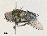  ( - CBG-A31760-H02)  @11 [ ] CreativeCommons - Attribution Share - Alike (2024) CBG Photography Group Centre for Biodiversity Genomics