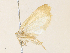  ( - CBG-A31760-H06)  @11 [ ] CreativeCommons - Attribution Share - Alike (2024) CBG Photography Group Centre for Biodiversity Genomics