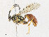  ( - CBG-A31761-B01)  @11 [ ] CreativeCommons - Attribution Share - Alike (2024) CBG Photography Group Centre for Biodiversity Genomics
