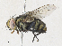  ( - CBG-A31761-B07)  @11 [ ] CreativeCommons - Attribution Share - Alike (2024) CBG Photography Group Centre for Biodiversity Genomics