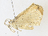  ( - CBG-A31761-F10)  @11 [ ] CreativeCommons - Attribution Share - Alike (2024) CBG Photography Group Centre for Biodiversity Genomics