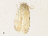  ( - CBG-A31761-G08)  @11 [ ] CreativeCommons - Attribution Share - Alike (2024) CBG Photography Group Centre for Biodiversity Genomics