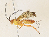  ( - CBG-A31761-H07)  @11 [ ] CreativeCommons - Attribution Share - Alike (2024) CBG Photography Group Centre for Biodiversity Genomics