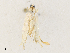  ( - CBG-A31762-C04)  @11 [ ] CreativeCommons - Attribution Share - Alike (2024) CBG Photography Group Centre for Biodiversity Genomics