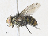  ( - CBG-A31762-F12)  @11 [ ] CreativeCommons - Attribution Share - Alike (2024) CBG Photography Group Centre for Biodiversity Genomics