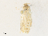  ( - CBG-A31763-C03)  @11 [ ] CreativeCommons - Attribution Share - Alike (2024) CBG Photography Group Centre for Biodiversity Genomics