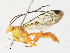  ( - CBG-A31764-A05)  @11 [ ] CreativeCommons - Attribution Share - Alike (2024) CBG Photography Group Centre for Biodiversity Genomics