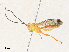  ( - CBG-A31764-B02)  @11 [ ] CreativeCommons - Attribution Share - Alike (2024) CBG Photography Group Centre for Biodiversity Genomics