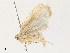  ( - CBG-A31764-C03)  @11 [ ] CreativeCommons - Attribution Share - Alike (2024) CBG Photography Group Centre for Biodiversity Genomics