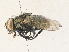 ( - CBG-A31773-A02)  @11 [ ] CreativeCommons - Attribution Share - Alike (2024) CBG Photography Group Centre for Biodiversity Genomics