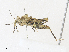  ( - CBG-A31773-C09)  @11 [ ] CreativeCommons - Attribution Share - Alike (2024) CBG Photography Group Centre for Biodiversity Genomics