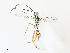  ( - CBG-A31829-B12)  @11 [ ] CreativeCommons - Attribution Share - Alike (2024) CBG Photography Group Centre for Biodiversity Genomics