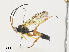  ( - CBG-A31829-E05)  @11 [ ] CreativeCommons - Attribution Share - Alike (2024) CBG Photography Group Centre for Biodiversity Genomics