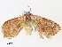  ( - CBG-A31829-E09)  @11 [ ] CreativeCommons - Attribution Share - Alike (2024) CBG Photography Group Centre for Biodiversity Genomics