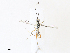  ( - CBG-A31830-D11)  @11 [ ] CreativeCommons - Attribution Share - Alike (2024) CBG Photography Group Centre for Biodiversity Genomics