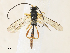  ( - CBG-A31830-H05)  @11 [ ] CreativeCommons - Attribution Share - Alike (2024) CBG Photography Group Centre for Biodiversity Genomics