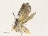  ( - CBG-A31831-A02)  @11 [ ] CreativeCommons - Attribution Share - Alike (2024) CBG Photography Group Centre for Biodiversity Genomics