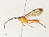  ( - CBG-A31833-D06)  @11 [ ] CreativeCommons - Attribution Share - Alike (2024) CBG Photography Group Centre for Biodiversity Genomics