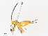  ( - CBG-A31833-D10)  @11 [ ] CreativeCommons - Attribution Share - Alike (2024) CBG Photography Group Centre for Biodiversity Genomics