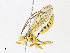  ( - CBG-A31833-G10)  @11 [ ] CreativeCommons - Attribution Share - Alike (2024) CBG Photography Group Centre for Biodiversity Genomics