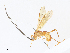  ( - CBG-A33501-B11)  @11 [ ] CreativeCommons - Attribution Share - Alike (2024) CBG Photography Group Centre for Biodiversity Genomics