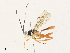  ( - CBG-A33501-C02)  @11 [ ] CreativeCommons - Attribution Share - Alike (2024) CBG Photography Group Centre for Biodiversity Genomics