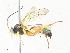  ( - CBG-A34309-C10)  @11 [ ] CreativeCommons - Attribution Share - Alike (2024) CBG Photography Group Centre for Biodiversity Genomics