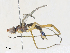  ( - CBG-A30956-D04)  @11 [ ] CreativeCommons - Attribution Share - Alike (2024) CBG Photography Group Centre for Biodiversity Genomics