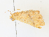  ( - CBG-A30956-D10)  @11 [ ] CreativeCommons - Attribution Share - Alike (2024) CBG Photography Group Centre for Biodiversity Genomics