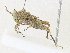  ( - CBG-A30956-E07)  @11 [ ] CreativeCommons - Attribution Share - Alike (2024) CBG Photography Group Centre for Biodiversity Genomics