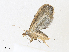  ( - CBG-A30956-E10)  @11 [ ] CreativeCommons - Attribution Share - Alike (2024) CBG Photography Group Centre for Biodiversity Genomics