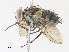  ( - CBG-A30956-E12)  @11 [ ] CreativeCommons - Attribution Share - Alike (2024) CBG Photography Group Centre for Biodiversity Genomics
