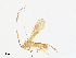  ( - CBG-A31773-G01)  @11 [ ] CreativeCommons - Attribution Share - Alike (2024) CBG Photography Group Centre for Biodiversity Genomics