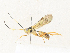  ( - CBG-A31834-C06)  @11 [ ] CreativeCommons - Attribution Share - Alike (2024) CBG Photography Group Centre for Biodiversity Genomics