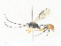  ( - CBG-A31834-C10)  @11 [ ] CreativeCommons - Attribution Share - Alike (2024) CBG Photography Group Centre for Biodiversity Genomics