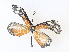  ( - CBG-A31834-E10)  @11 [ ] CreativeCommons - Attribution Share - Alike (2024) CBG Photography Group Centre for Biodiversity Genomics
